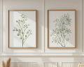 Baby's breath botanical wall art set of 2 – delicate gypsophila floral decor
