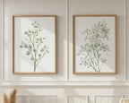 Baby's breath botanical wall art set of 2 – delicate gypsophila floral decor