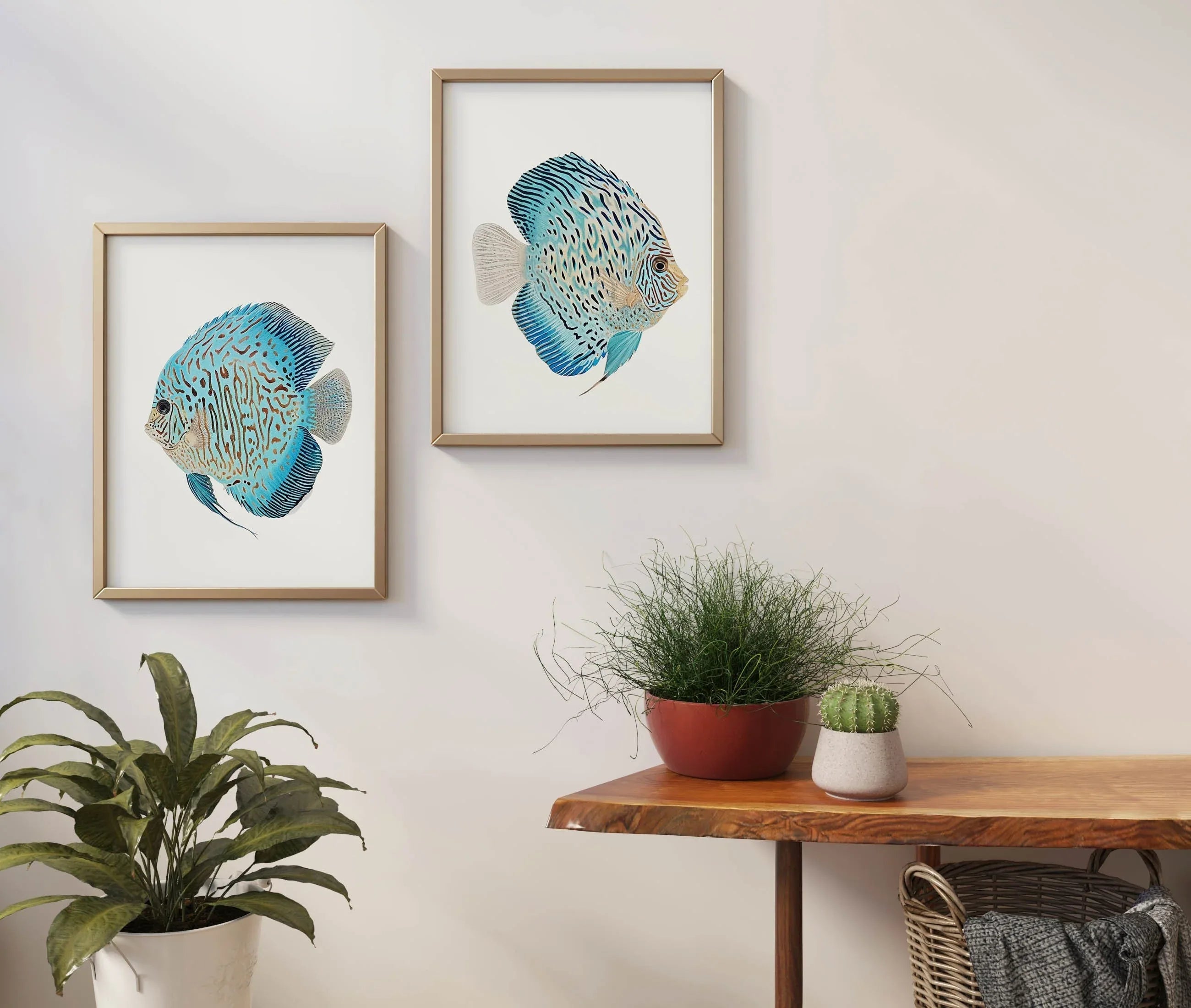 Blue discus fish wall art set – watercolour ocean tropical fish decor