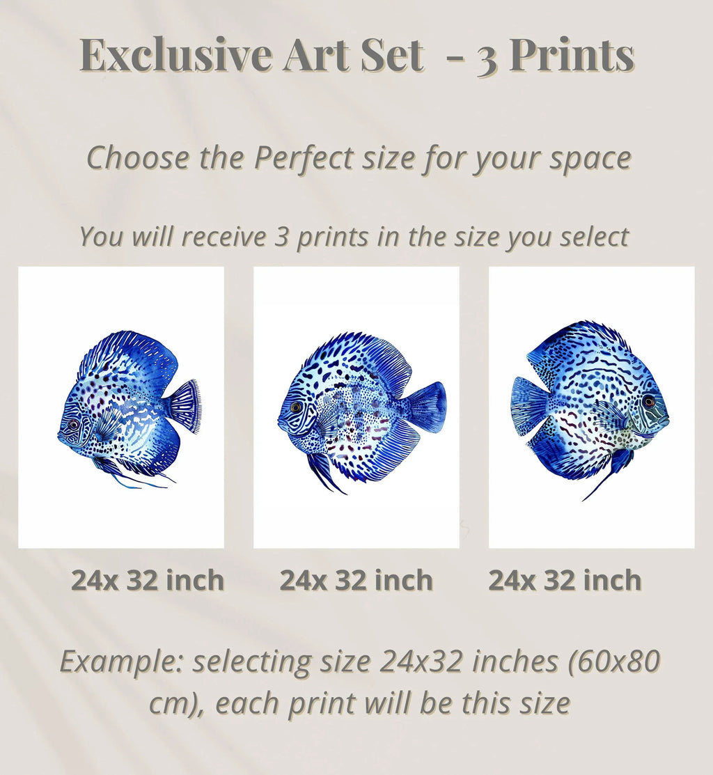 Blue discus fish wall art set of 3 – serene oceanic trio indigo decor