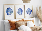 Blue discus fish wall art set of 3 – serene oceanic trio indigo decor