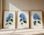 Blue hydrangea wall art set of 3 – botanical floral blue blooms on white