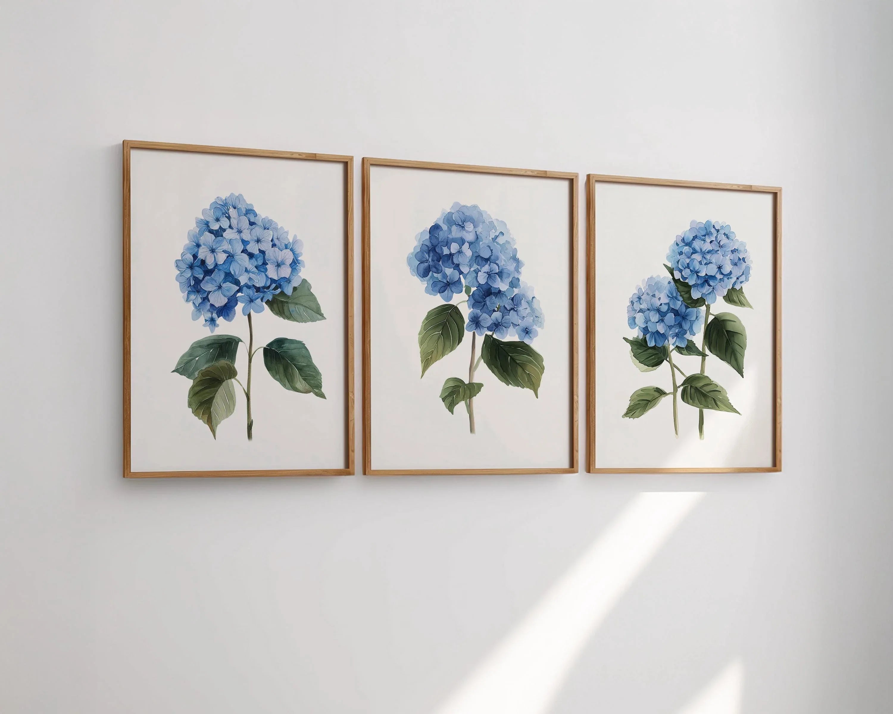 Blue hydrangea wall art set of 3 – botanical floral blue blooms on white