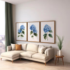 Blue hydrangea wall art set of 3 – botanical floral blue blooms on white