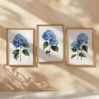 Blue hydrangea wall art set of 3 – botanical floral blue blooms on white