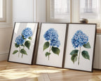 Blue hydrangea wall art set of 3 – botanical floral blue blooms on white