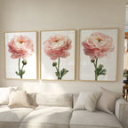 Blush peony watercolour wall art set of 3 – romantic pink floral bouquet decor