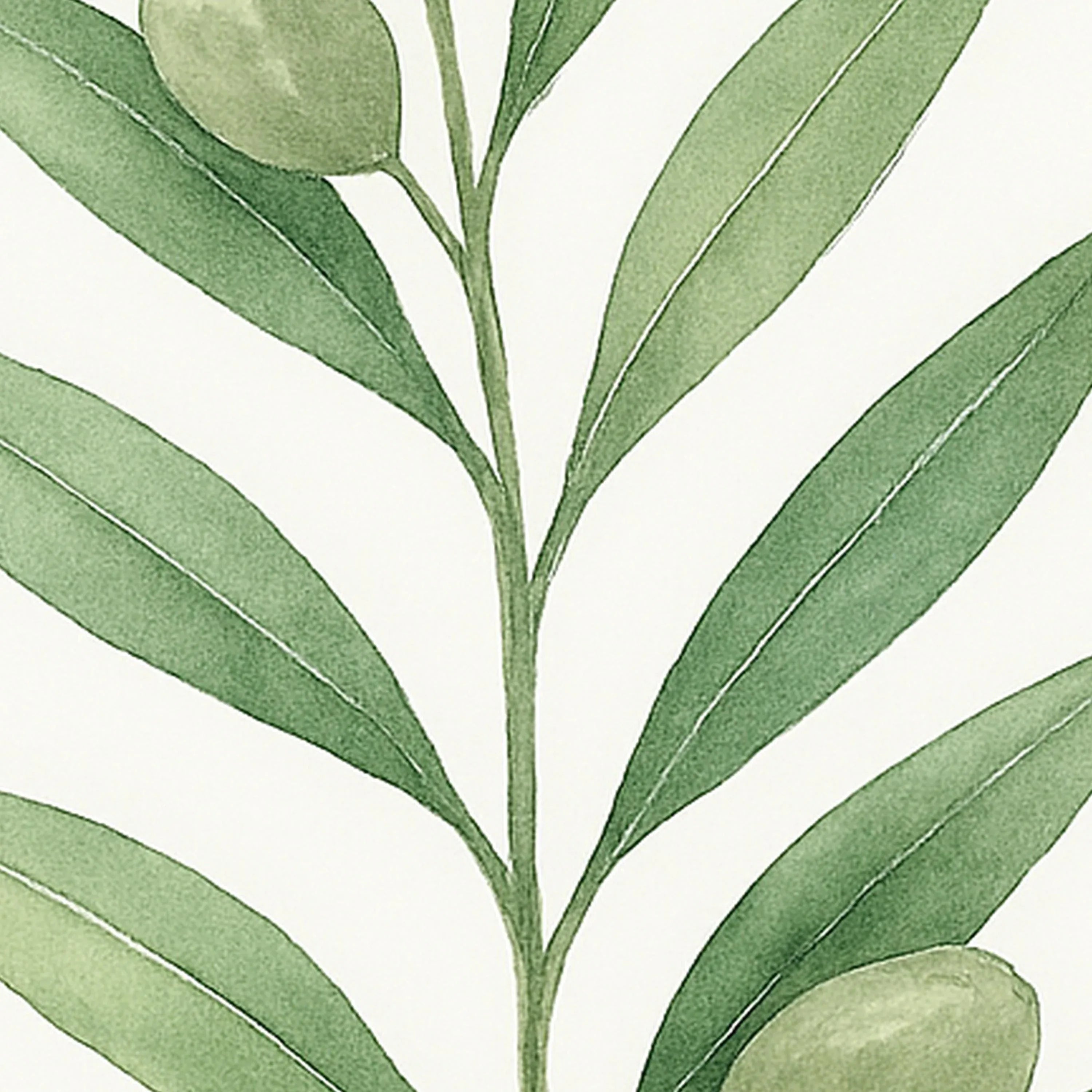 Eucalyptus leaf wall art set of 3 – minimalist green watercolour botanical