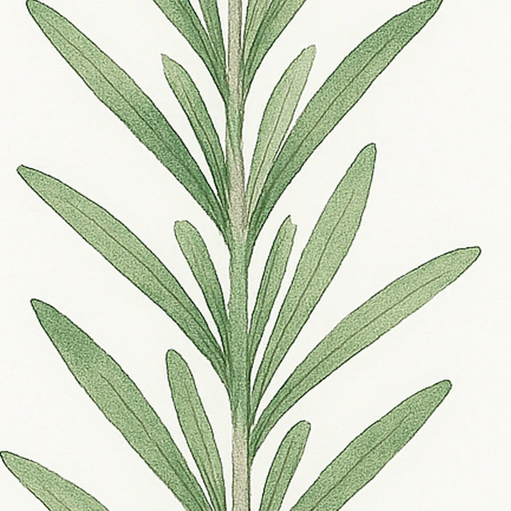 Eucalyptus leaf wall art set of 3 – minimalist green watercolour botanical