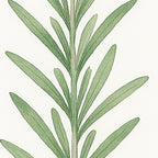 Eucalyptus leaf wall art set of 3 – minimalist green watercolour botanical