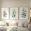 Eucalyptus watercolour wall art set of 3 – sage green botanical branches