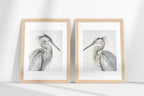 Heron wall art – two majestic great blue herons in soft watercolour tones