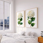 Hydrangea botanical wall art set of 2 – lush white blooms with green leaves
