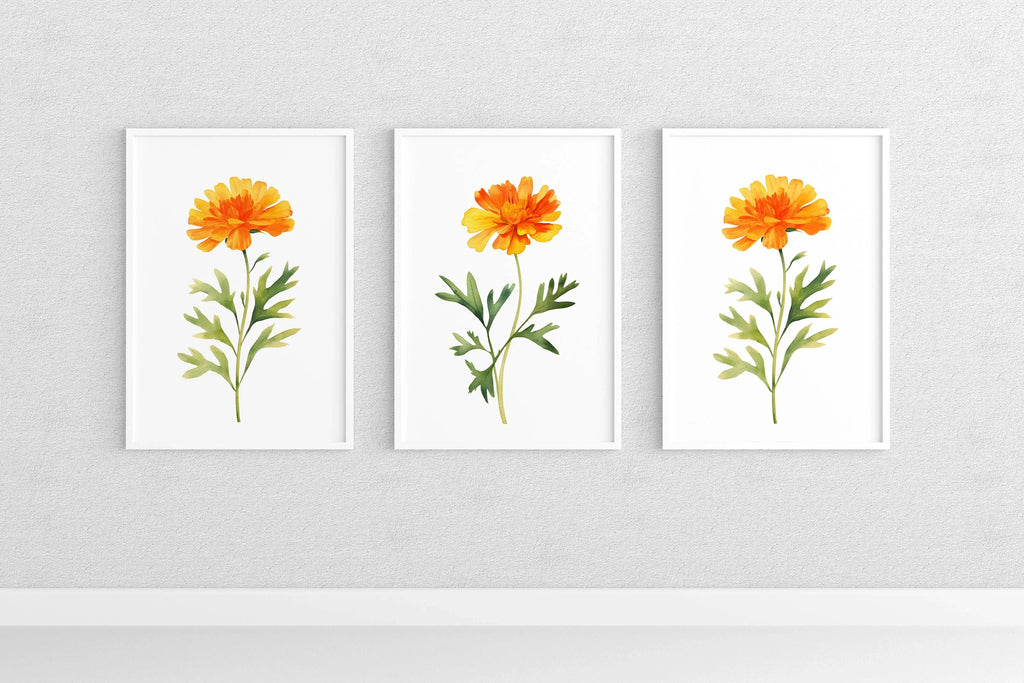 Marigold floral wall art set of 3 – golden watercolor blooms, handpainted botanical decor