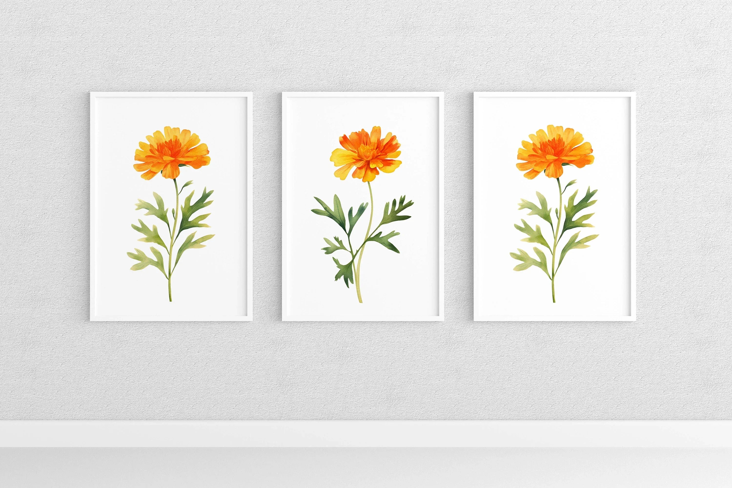 Marigold floral wall art set of 3 – golden watercolor blooms, handpainted botanical decor