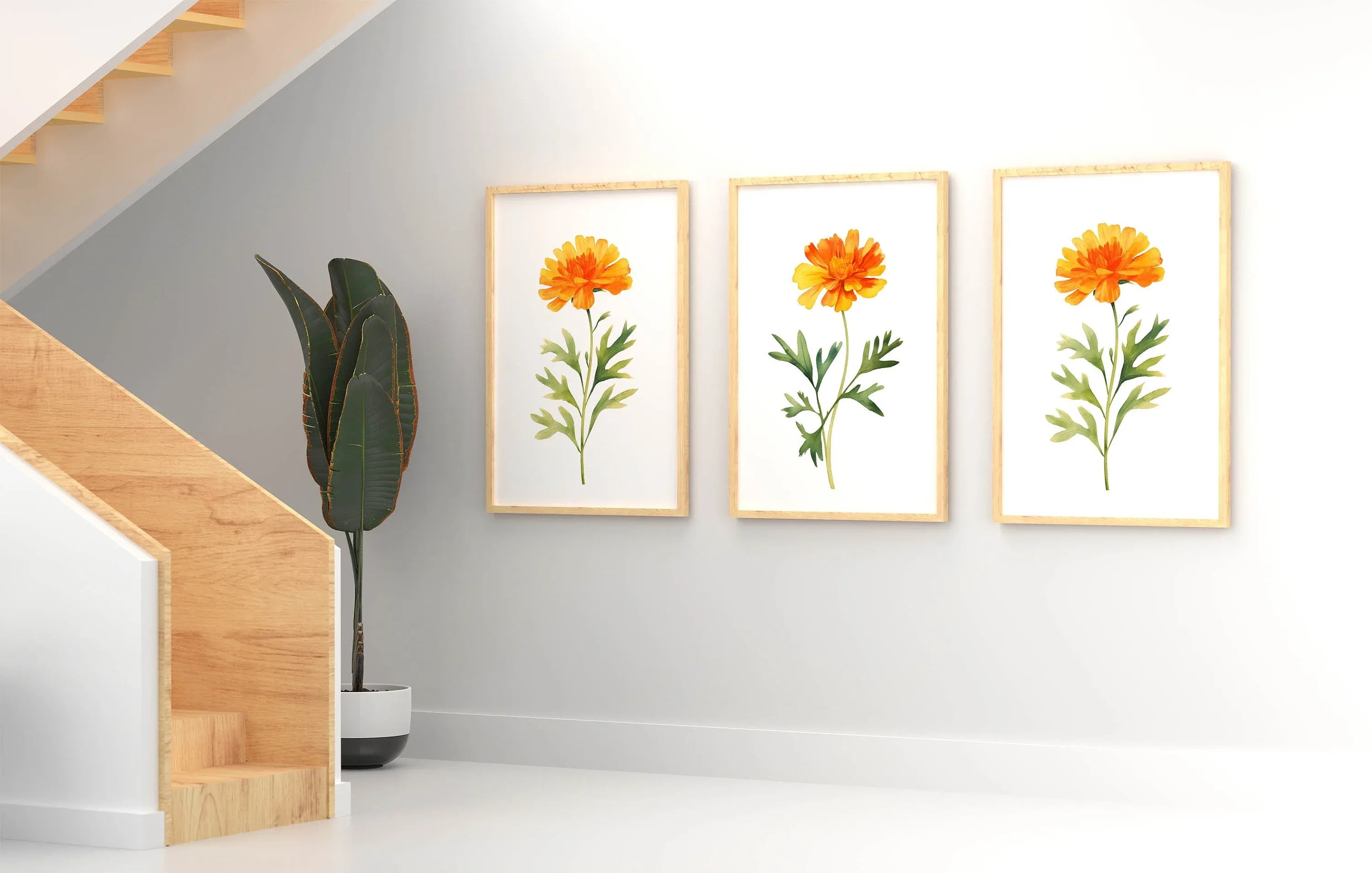 Marigold floral wall art set of 3 – golden watercolor blooms, handpainted botanical decor