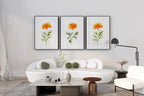 Marigold floral wall art set of 3 – golden watercolor blooms, handpainted botanical decor