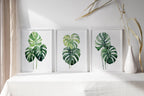 Monstera leaf wall art set – tropical green botanical split-leaf trio, modern decor