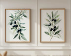 Olive branch botanical wall art set of 2 with green leaves and black olives on white background