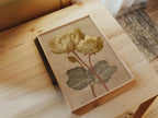 Vintage lotus flower golden beige botanical illustration wall art in dark wood frame 12x12 inch 3...