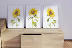 Watercolor sunflower painting triptych set of 3 yellow floral wall art in dark wood frame 12x12 i...