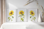 Watercolor sunflower painting triptych set of 3 yellow floral wall art in natural wood frame 12x1...