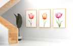 Watercolor tulip painting set of 3 navy blue pink floral bedroom decor in black frame 12x18 inch ...