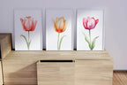 Watercolor tulip painting set of 3 navy blue pink floral bedroom decor in dark wood frame 12x18 i...