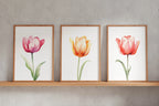 Watercolor tulip painting set of 3 navy blue pink floral bedroom decor unframed 12x18 inch 30x45 cm