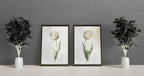 White tulip watercolor painting set of 2 navy cream floral wall art in black frame 12x18 inch 30x...