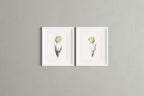 White tulip watercolor painting set of 2 navy cream floral wall art in natural wood frame 12x18 i...